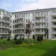 bp_fs_010.jpg